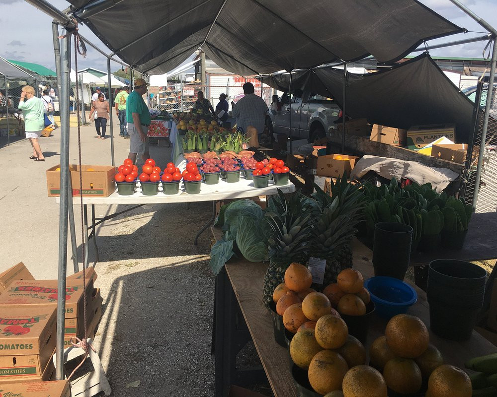 Ortiz Avenue Flea Market Ortiz Avenue Flea Market