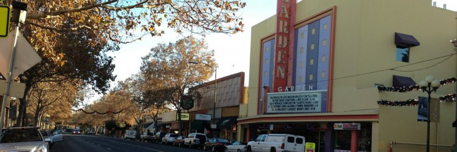 Willow Glen Collective Willow Glen Collective