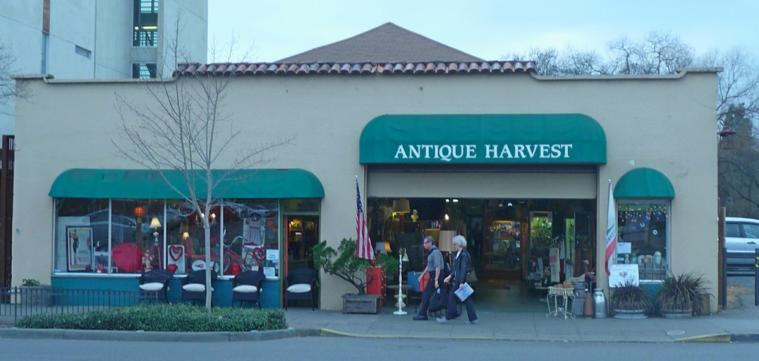 Antique Harvest Antique Harvest