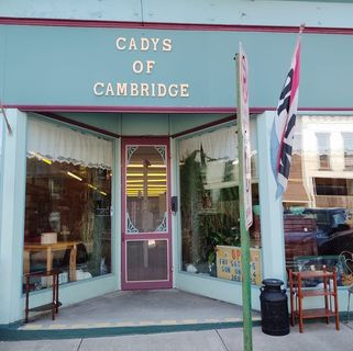 Cadys Of Cambridge