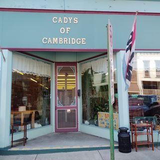 Cadys Of Cambridge Cadys Of Cambridge