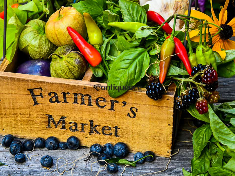 Legacy Farmers' Market