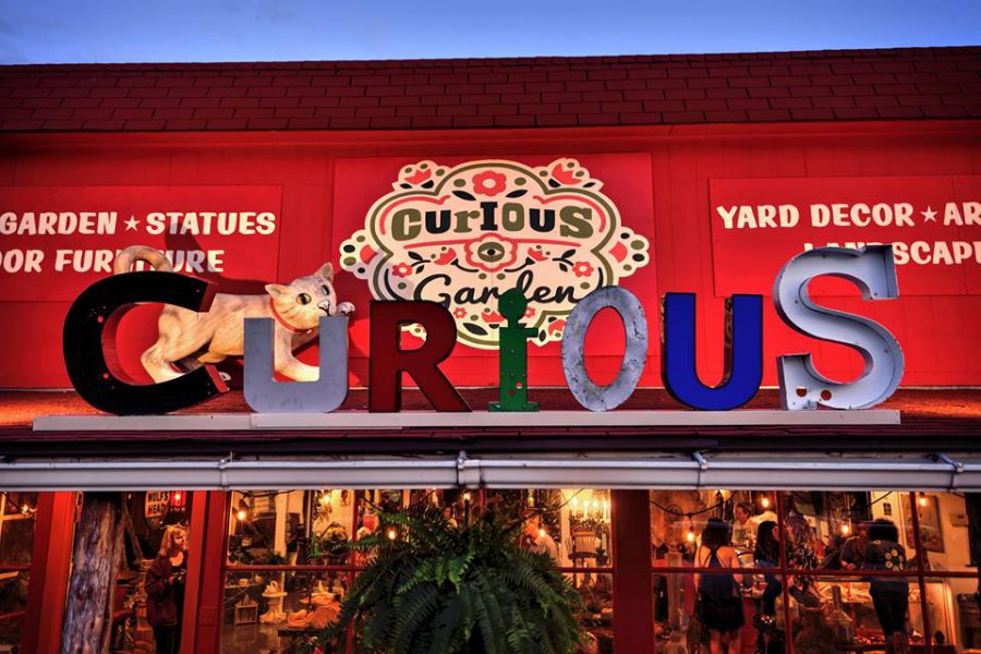 Curious Garden Dallas, TX Curious Garden Dallas, TX