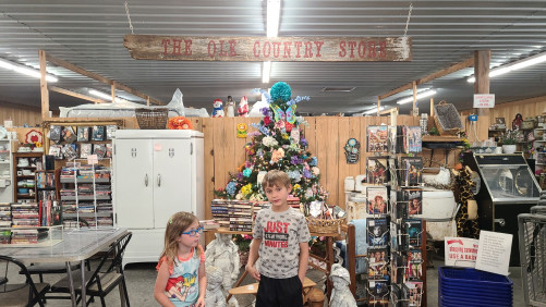 Old 60 Flea Market - Broseley, Missouri 63932