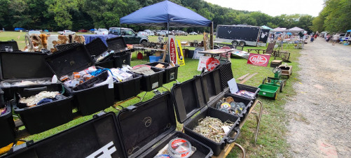 Dog Days Flea Market - Ardmore, Tennessee 38449