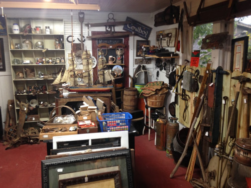 Fleas & Tiques - Branson, Missouri 65616