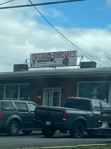 Precious Treasures - Winchester, Virginia 22603