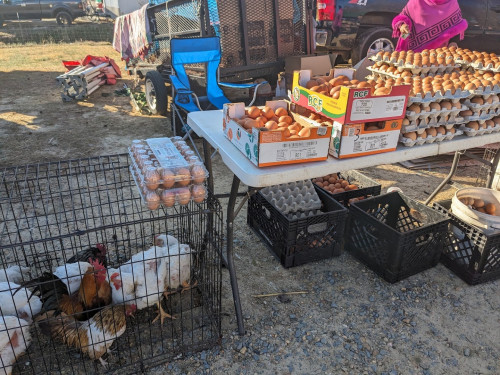 Brightleaf Flea Market LLC - Smithfield, North Carolina 27577