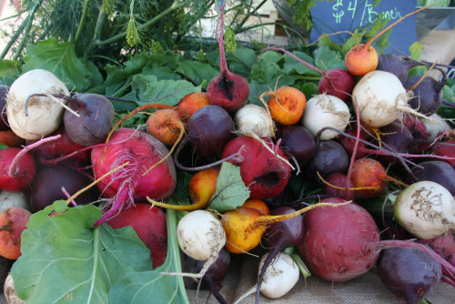 ALAMOSA Farmers Market - Alamosa, Colorado 81101