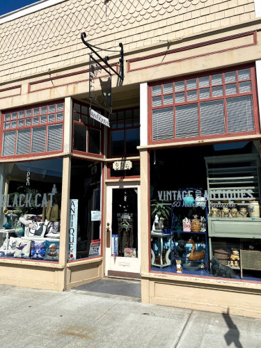 Black Cat Antiques - Fort Bragg, California 95437