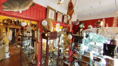 Oddities And Antiques - Clearwater, Florida 33756