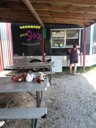 Black Bears Flea Market - Pikeville, Tennessee 37367