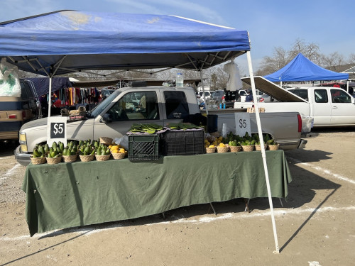 Kerman Fair Flea Market - Kerman, California  93630