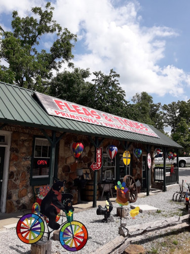 Fleas & Tiques - Branson, Missouri 65616