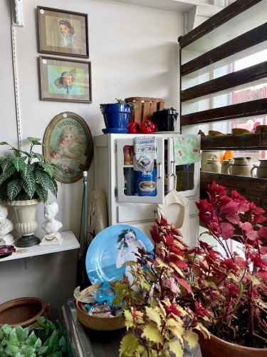 Black Cat Antiques - Fort Bragg, California 95437