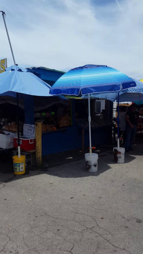 Green Acres Flea Market - Louisville, Tennessee 37777