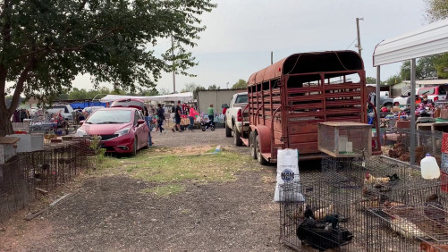 Mary's Swap Meet - Oklahoma City, Oklahoma 73141