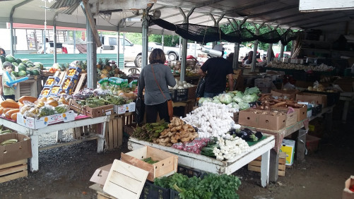 Eleven Acre Flea Market - Thomasville, North Carolina 27360