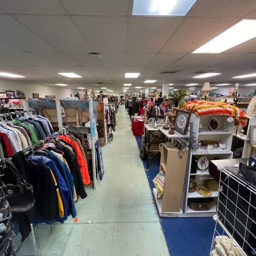 Riker's Fleas and Furniture - Nixa - Nixa, Missouri 65714