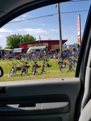 Sandy Hollow Flea Market - Rockford, Illinois 61109