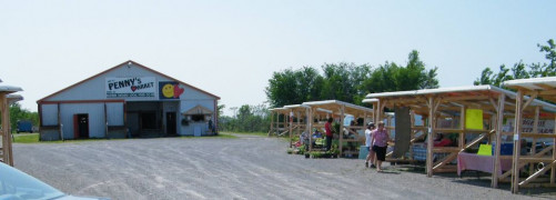 Penny's Flea Market - Cana, Virginia 24317