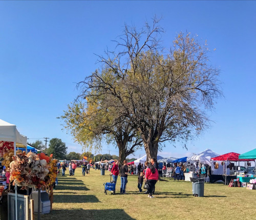 I.O.O.F. TRADE DAYS - Corsicana, Texas 75110