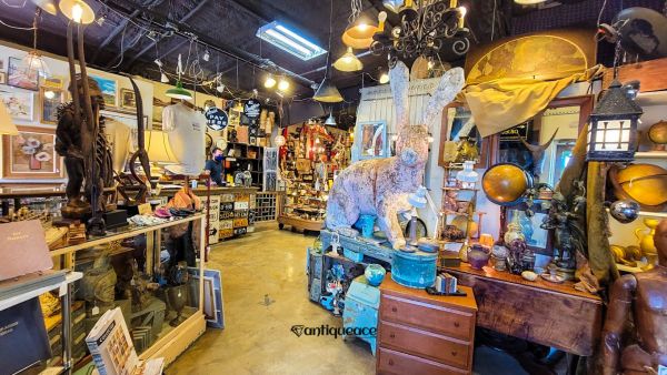 Uncommon Objects - Austin, Texas 78704