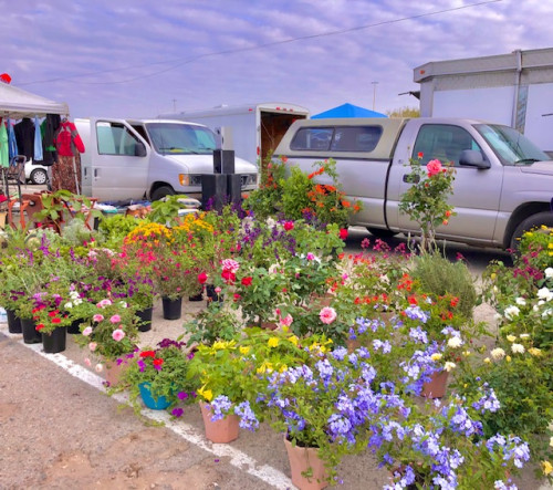 Fresno Flea Market - Fresno, California  93702