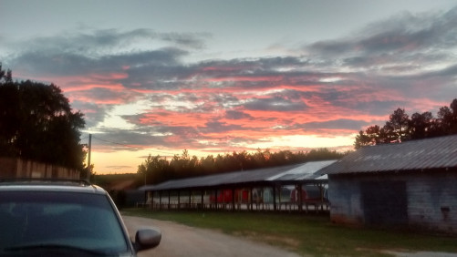 Hwy 11 Flea Market - Westminster, South Carolina 29693