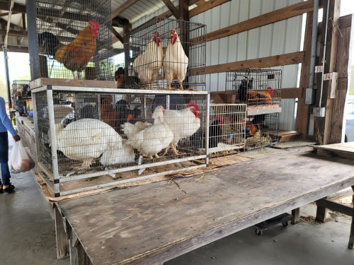 The Barnyard Flea Markets - Dallas, North Carolina 28034