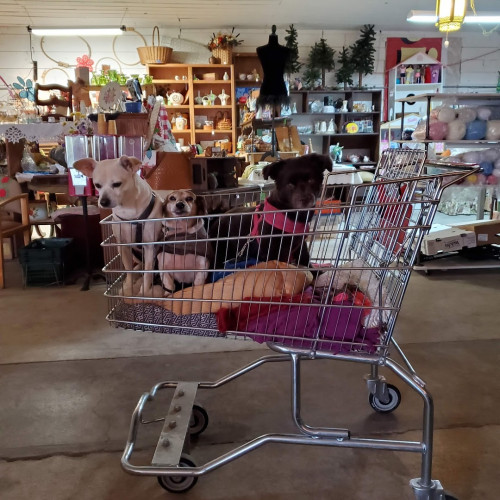 Wadena Flea & Craft Market - Wadena, Minnesota 56482