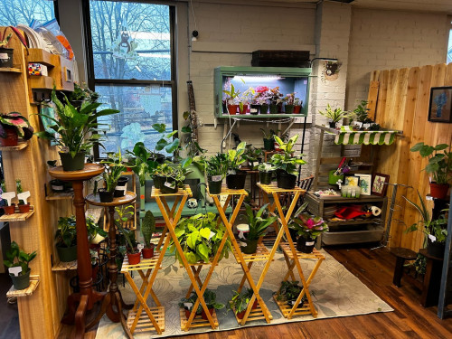 Treasure Trove Fleatique - Pittsburgh, Pennsylvania 15205