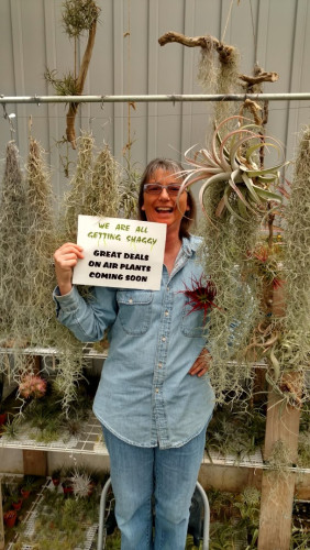 Alice's Air Plants & Savor the Flavor - Sugarcreek, Ohio 44681
