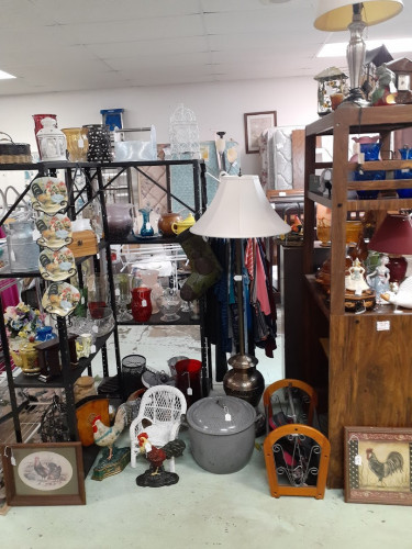 Riker's Fleas and Furniture - Nixa - Nixa, Missouri 65714