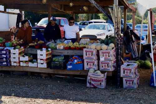Collinsville Trade Day Flea Market - Collinsville, Alabama  35961