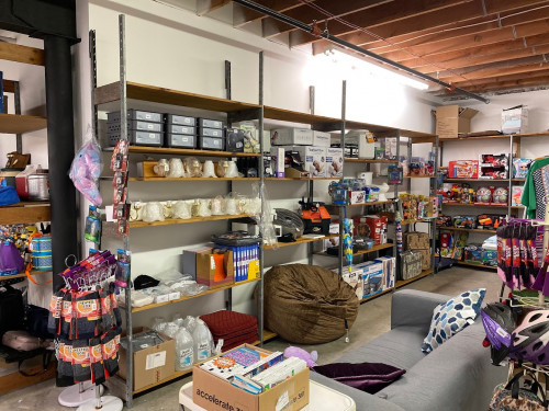 Appalachian Flea - Cumberland, Maryland 21502