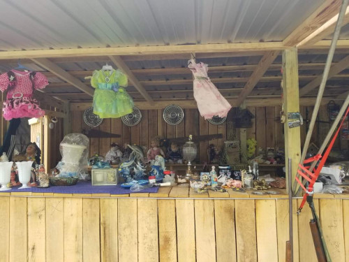 The Family Yardsale Lot - New Tazewell, Tennessee 37825