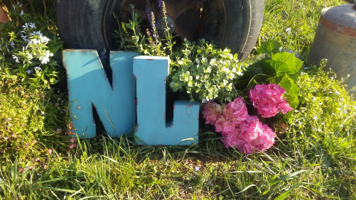 The Nancy Louise Vintage Market - Pikeville, Tennessee 37367