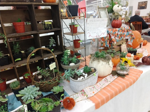 Joppa Market Place - Joppatowne, Maryland 21085