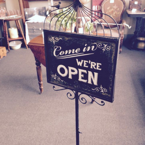Fleas & Tiques - Branson, Missouri 65616
