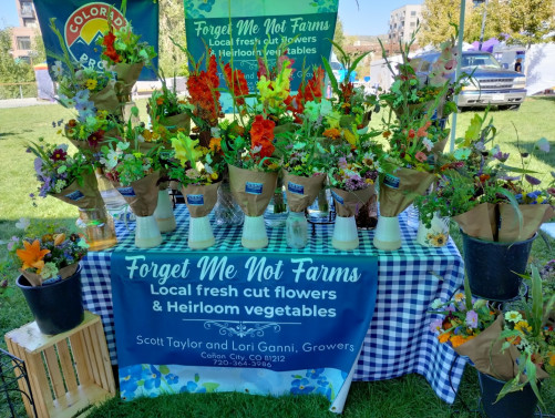 Festival Park Farmers Market - Castle Rock, Colorado 80104