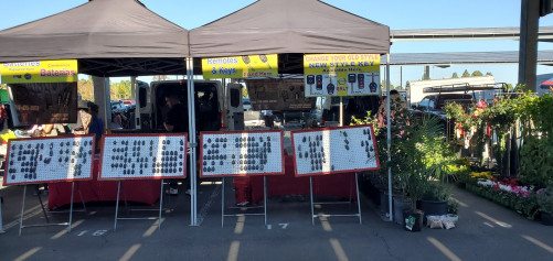 Orange Coast College Swap Meet - Costa Mesa, California 92626