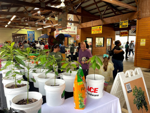 Barnyard Flea Market - Augusta , Georgia 30906