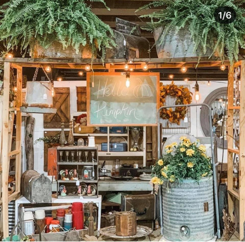 Vintage Market Days of Asheville Metro - Fletcher, North Carolina 28732