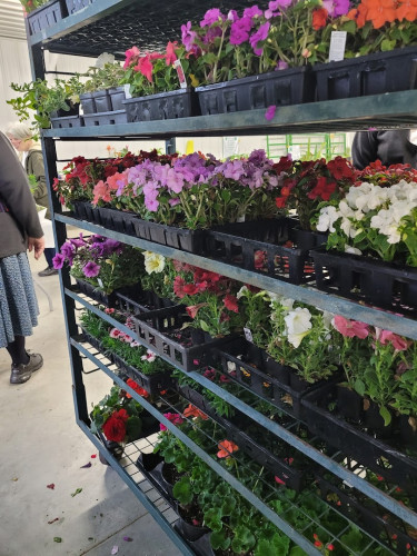 Versailles Open Air Flea Market - Versailles, Missouri 65084