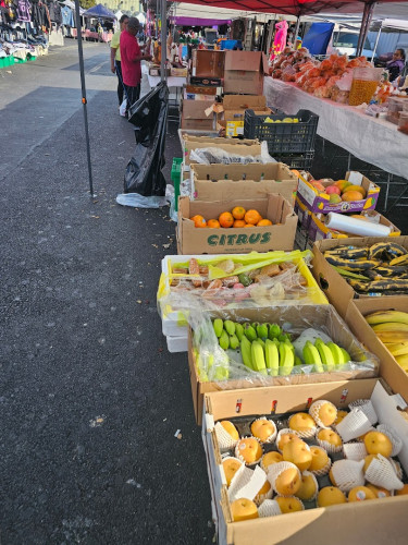 Coliseum Swap Meet - Oakland, California  94621