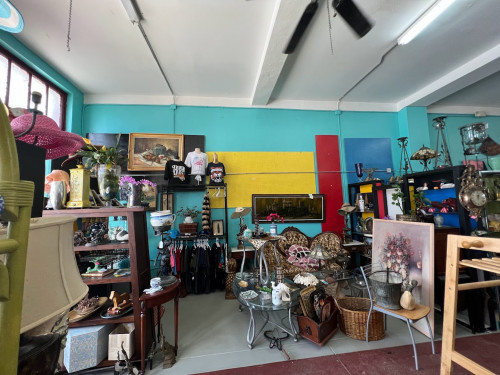 RETRO MANIA VINTAGE MARKET (WHERE THE COOL KIDS SHOP) - Tampa, Florida 33603