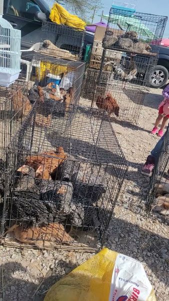 Forest Hill Indoor Outdoor Market - Forest Hill, Texas 76119