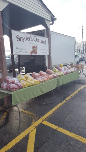 Four Seasons Flea & Farm Market - Youngstown, Ohio 44505