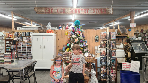 Old 60 Flea Market - Broseley, Missouri 63932